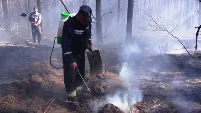 Пожар на Черниговщине: горит почти 200 га леса (фото)