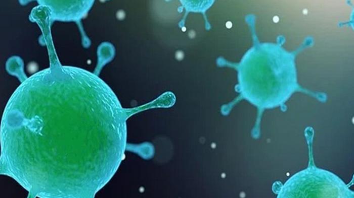 Ученые обнаружили превращающие в зомби вирусы