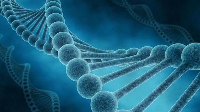 В ДНК человека нашли фрагмент, влияющий на тяжесть COVID-19