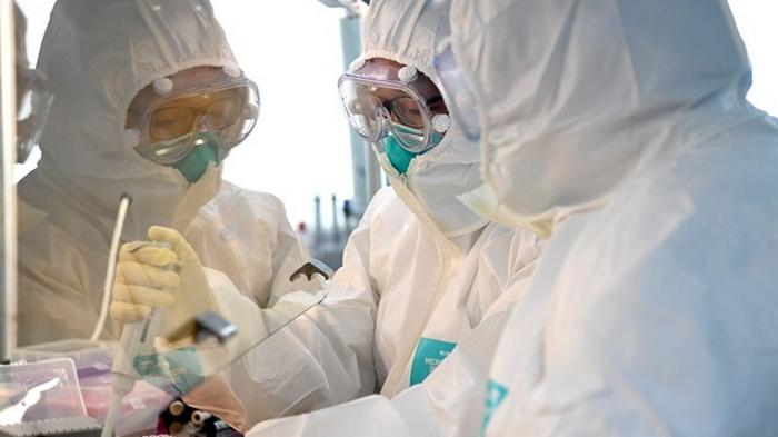 Ученые выявили людей, невосприимчивых к коронавирусу