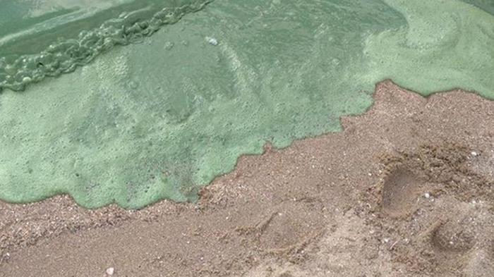 На пляже Николаева вода стала ядовито-зеленой (фото)