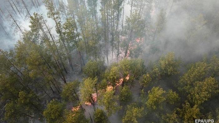 В Чернобыльской зоне новый лесной пожар