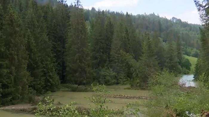 На Прикарпатье селевой поток может снести село (видео)