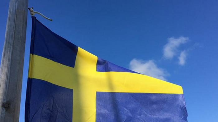 Действия властей Швеции по сдерживанию COVID-19 расследует спецкомиссия