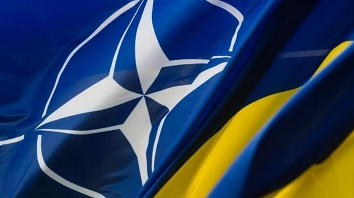 НАТО требует от Украины реформ