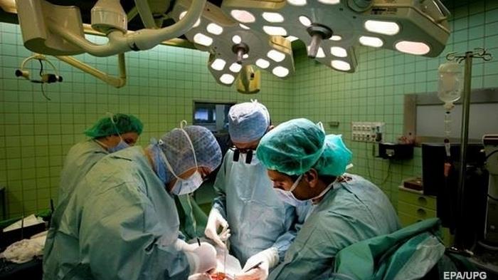 Правительство утвердило тарифы по трансплантации