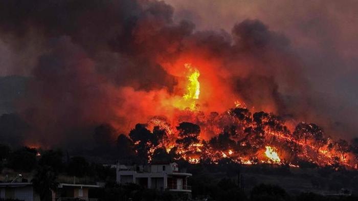 В Греции вспыхнул масштабный лесной пожар (видео)