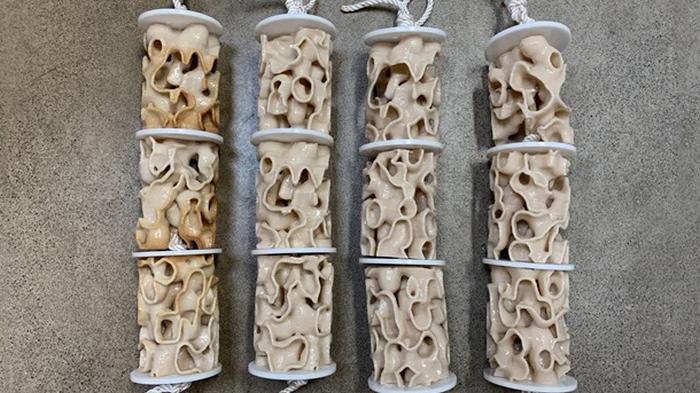 В США на 3D-принтере печатают коралловые рифы
