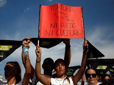 Тысячи людей в Испании вышли на митинг против корриды