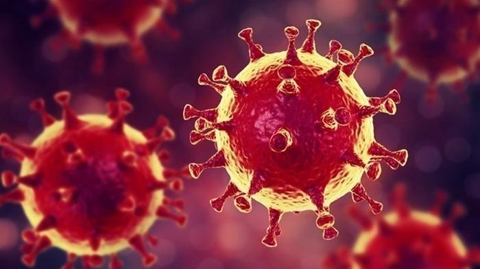 Ученые выявили опасную мутацию коронавируса
