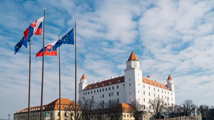 Словакия и Чехия отозвали послов из Беларуси