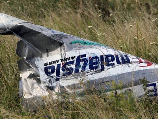The Guardian: Следователи сделали вывод, что MH17 сбили с территории боевиков