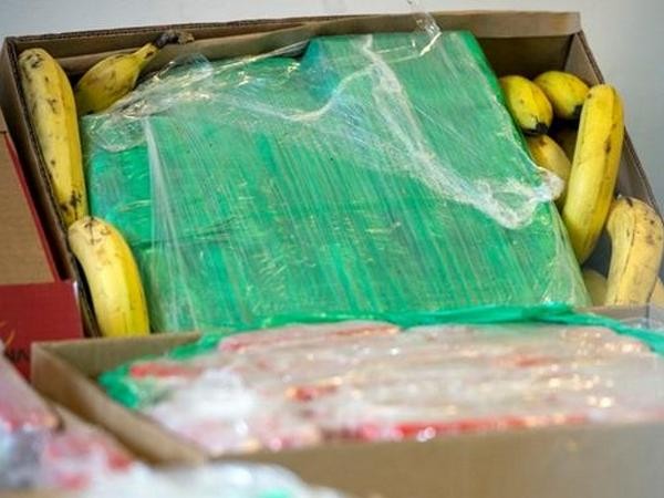 Россия – лидер по поставкам бананов в Беларусь