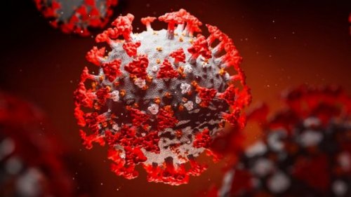 Коронавирус в мире: количество инфицированных приблизилось к 67,6 млн