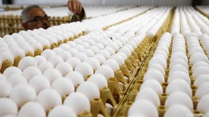 В ЕС нашли сальмонеллу в украинских яйцах