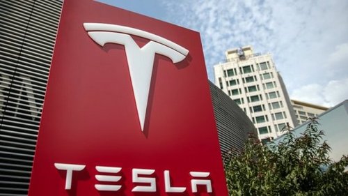 В Германии остановили строительство завода Tesla из-за спящих змей