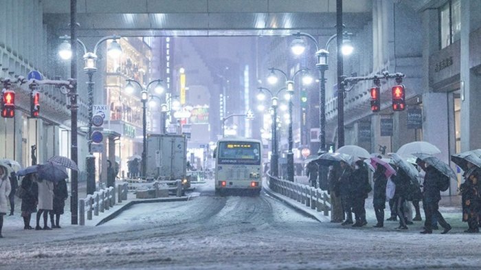 В Японии прошел снегопад, десятки пострадавших (фото)