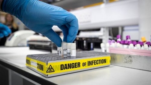 В Нидерландах зафиксирована вспышка британского коронавируса