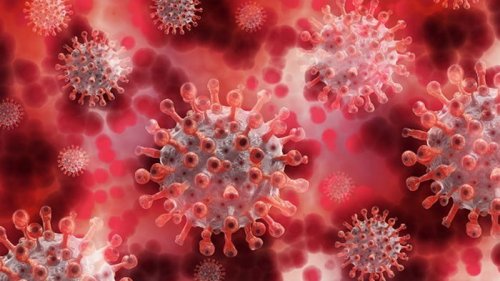 Ученые насчитали 18 мутаций коронавируса в организме одной пациентки