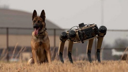 В США военные испытывают робособак Ghost Robotics (видео)