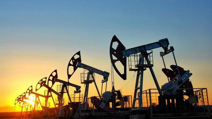 Нефть продолжает дешеветь: цена на Brent упала ниже $55