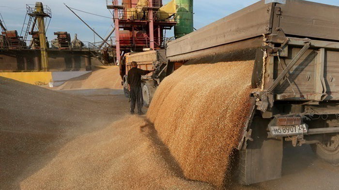 Украина на втором месте в мире по экспорту зерна