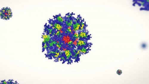 Ученым удалось активировать иммунитет от вируса СПИДа: фаза I по вакцине признана успешной