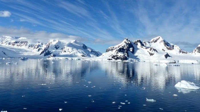 Под толщей льда в Антарктиде нашли неизвестных животных: они облепили булыжник – фото