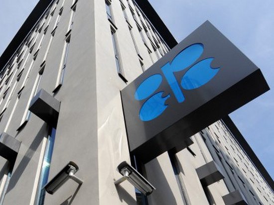 В ОПЕК не договорилась о сокращении добычи нефти