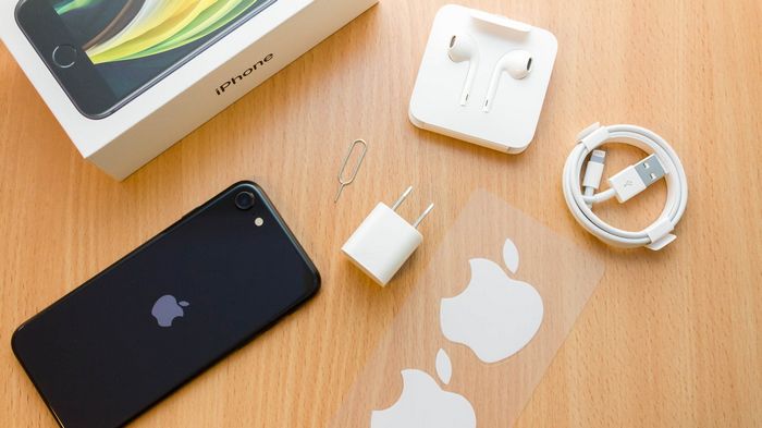 Смартфон Apple iPhone SE 2020: особенности, технические характеристики и почему стоит выбрать