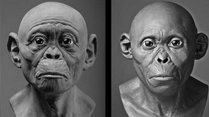 Ученые воссоздали облик древних предков человека (фото)