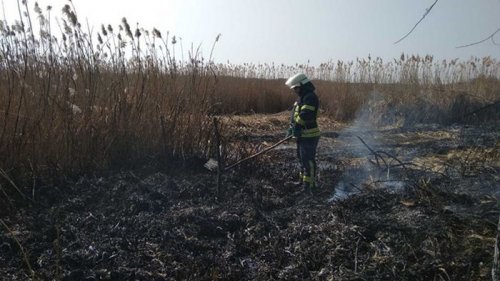 В Киевской области за выходные выгорело 330 гектаров (видео)