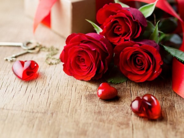 Какие цветы подарить девушке на 14 февраля?