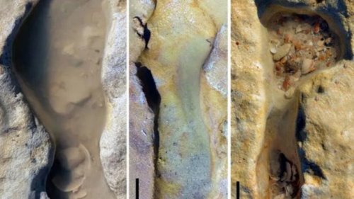 Ученые обнаружили окаменелые детские следы возрастом сто тысяч лет