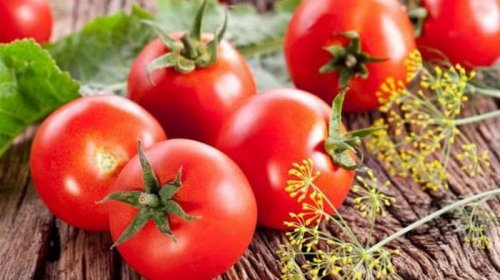Какие сорта томатов самые популярные для выращивания?