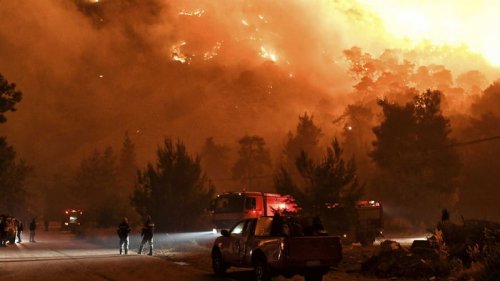 В Греции под Афинами горят леса, власти начали эвакуировать местных (видео)