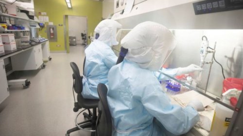 ВОЗ не исключает версию об утечке коронавируса из лаборатории в Ухане