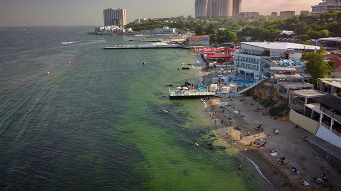 В Одессе из-за бактерий позеленело море (видео)