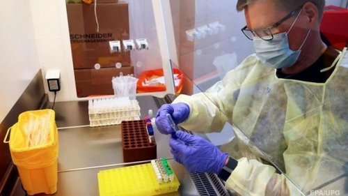 В Бразилии зафиксировали новый штамм коронавируса