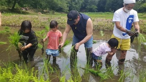 В Японии посол Украины посадил поле риса