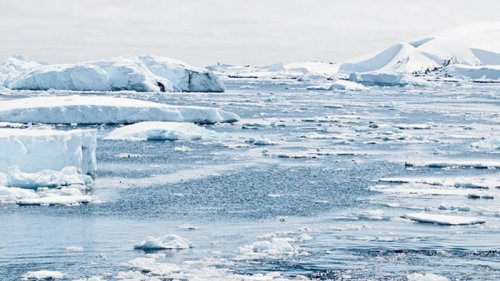 В Антарктиде рекордная жара - ООН