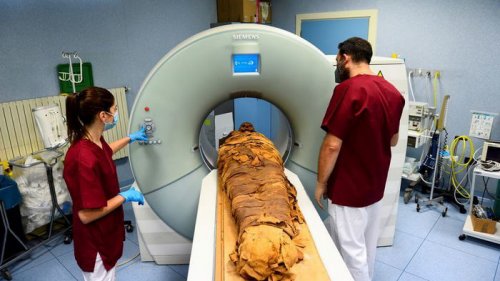 Древней мумии сделали томографию в итальянской больнице