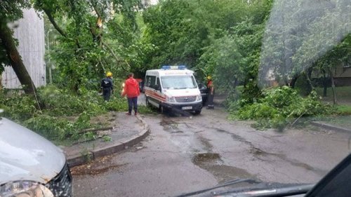 Непогода в Киеве: повалены около 150 деревьев (видео)