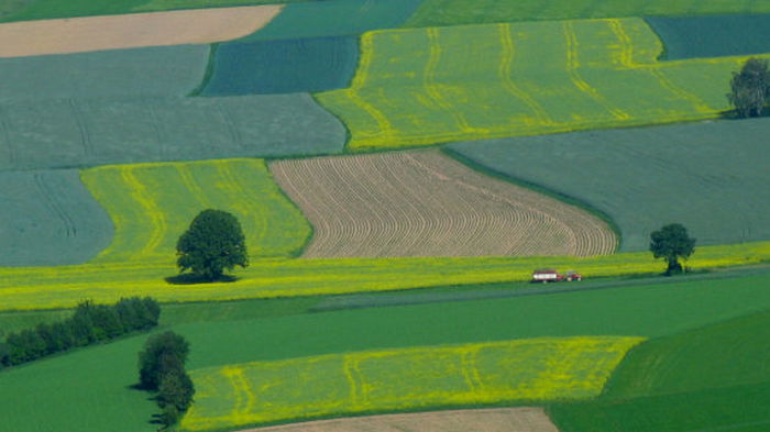 Изменение климата. Зоной рискованного земледелия могут стать 2/3 территории Украины