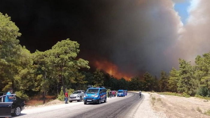 В Анталии лесные пожары подобрались к городам (видео)