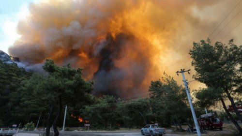 Пожары в Греции: 16 человек пострадали, десятки домов сгорели
