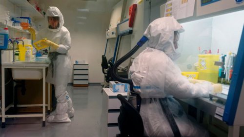 В США заявили о доказательствах утечки коронавируса из лаборатории в Ухане