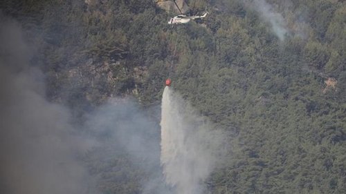 В Анталии погашены большинство лесных пожаров