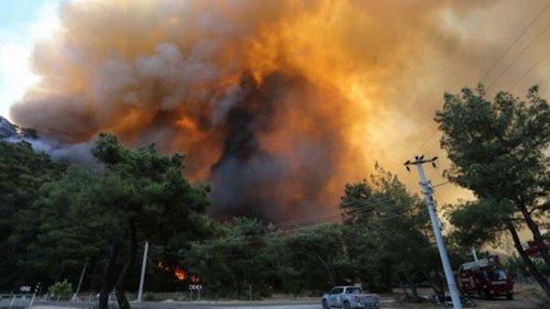 Турцию и Грецию охватили новые лесные пожары, спасатели пытаются потушить огонь