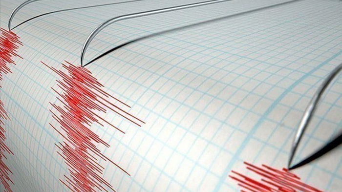 В Карпатах произошло землетрясение